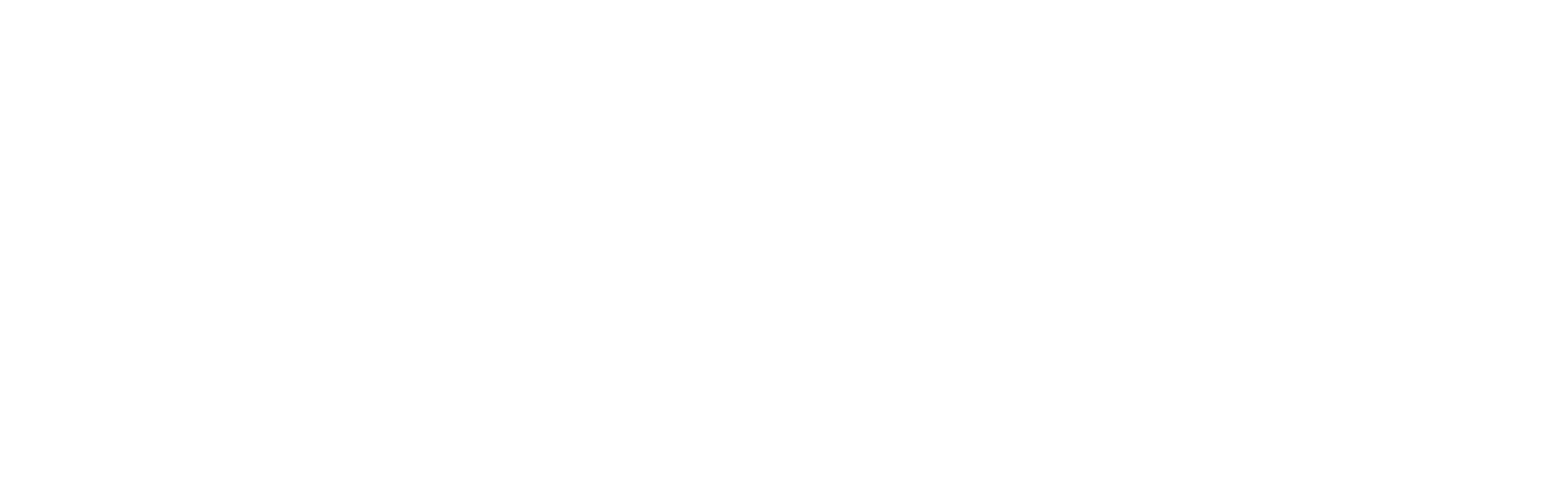 RAD Intel
